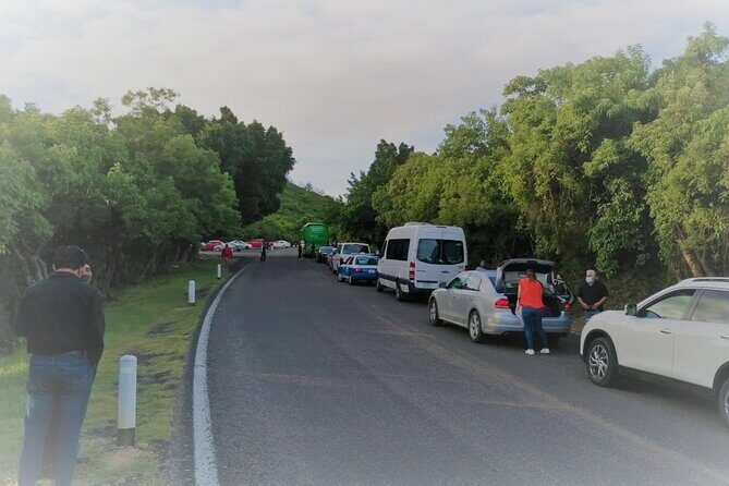 Half day tour to Monte Albán - Pricing and Value