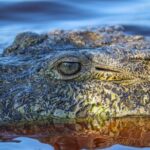 Half-Day Tour to Ventanilla, Mazunte, Zipolite and Puerto Angel - What the Reviews Say