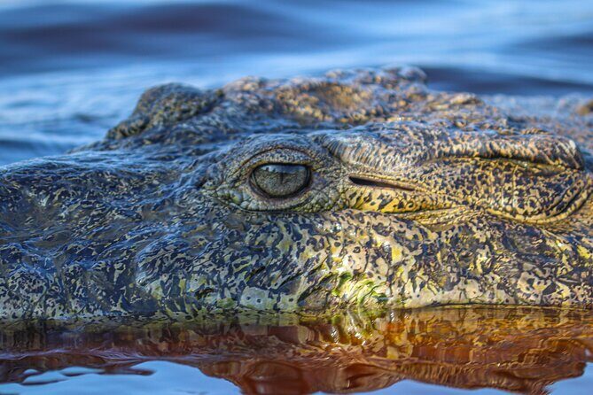 Half-Day Tour to Ventanilla, Mazunte, Zipolite and Puerto Angel - What the Reviews Say