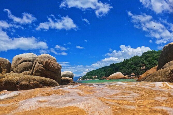 Half Day Tour with Snorkeling in Colomitos and Playa las Animas - Authentic Insights from Reviews