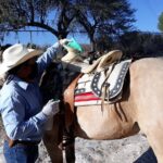 Half Day Trail Riding in San Miguel de Allende - The Sum Up