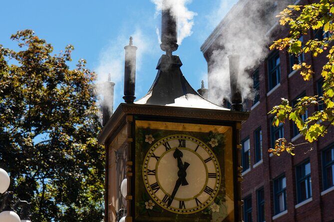 Half-day Vancouver City Tour & Lookout Tower - Authentic Insights from Past Travelers