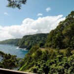 Half way to Hana Maui Open Air Jeep Private Tour - Stop 2: Bamboo Forest
