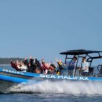 Halifax: 50-Minute Boat Tour of the Harbour - The Value and Who Will Love It