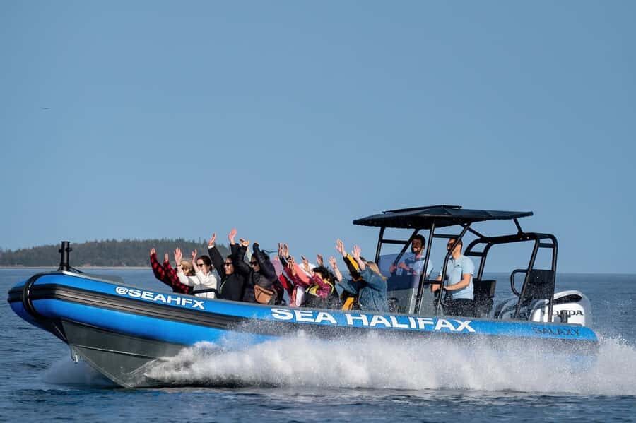 Halifax: 50-Minute Boat Tour of the Harbour - The Value and Who Will Love It