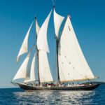 Halifax: Lunenburg Guided Tour - Who Will Love This Tour?