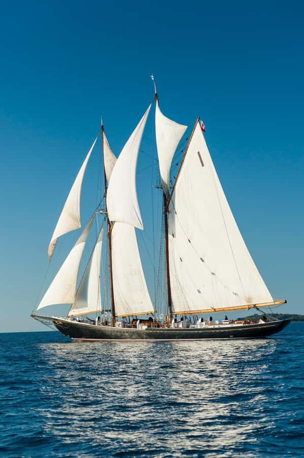 Halifax: Lunenburg Guided Tour - Who Will Love This Tour?