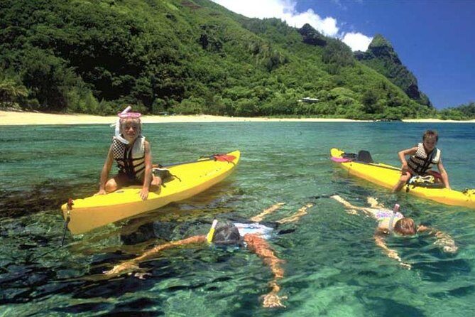 Hanalei River Paddle and Bay Snorkel Tours (LUNCH INCLUDED) - What to Expect and Practical Details