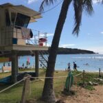 Hanauma Bay Admission Tickets with Transportation - Who Will Benefit Most from This Tour?