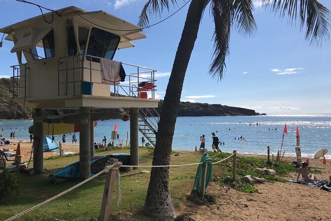 Hanauma Bay Admission Tickets with Transportation - Who Will Benefit Most from This Tour?
