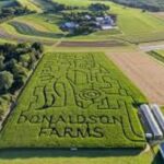 Happy Farm Fun Day Tour from NY | Kids 50% Off - The Guided Experience: Lively Stories and Cultural Touches