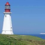 Harbor Highlights: Sydney City Tour - Practical Details and What Travelers Say