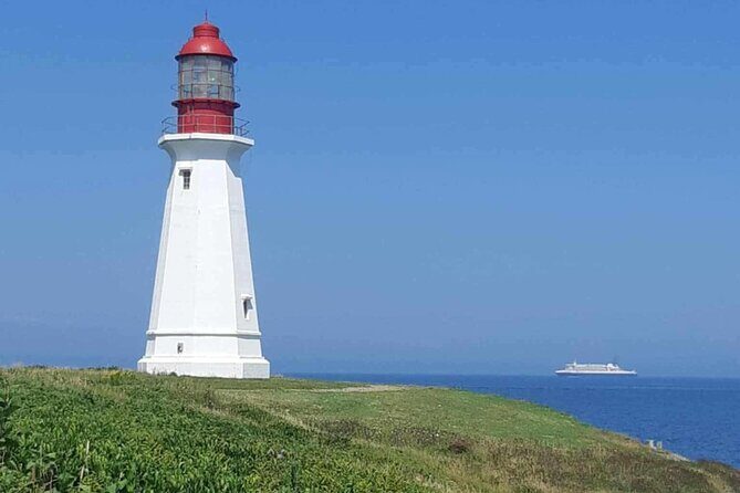 Harbor Highlights: Sydney City Tour - Practical Details and What Travelers Say