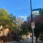 Harlem walking tour in French and Gospel Mass in a small group - A Deep Dive into the Harlem Tour Experience