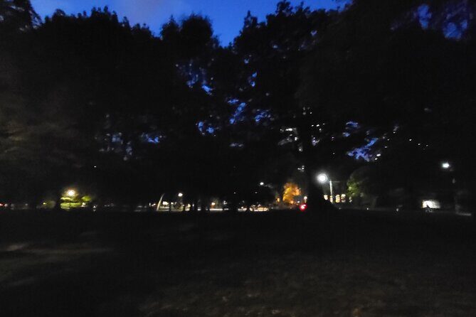 Haunt Hunt Walking Tour in Toronto - Final Thoughts