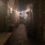 Haunted History of Fort Myers Walking Tour - Who Will Love This Tour?