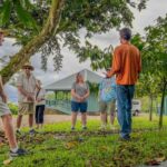 Hawaii: 10 Bar Chocolate Tasting & History of Chocolate - Honolii Orchards: A Family Legacy of Cacao