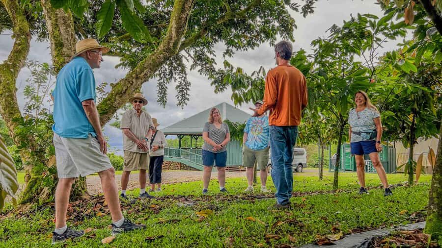 Hawaii: 10 Bar Chocolate Tasting & History of Chocolate - Honolii Orchards: A Family Legacy of Cacao