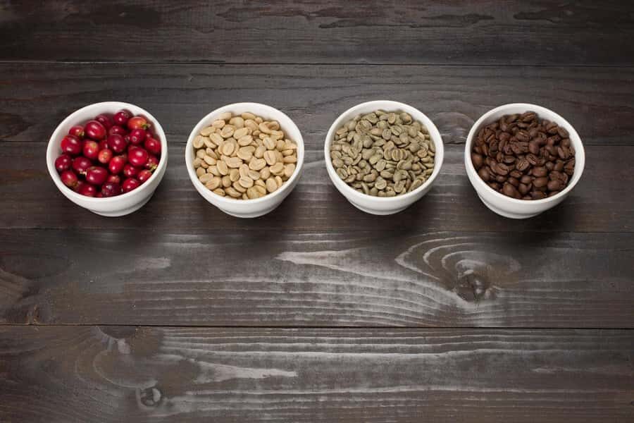 Hawaii Hala Tree Coffee: Coffee Cupping Workshop - An Overview of the Coffee Cupping Experience