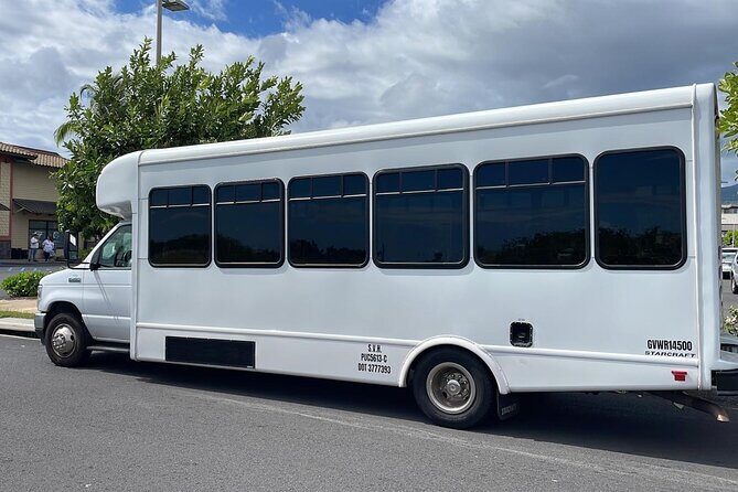 Hawaii island Mini-Buses Service - Why This Service Matters