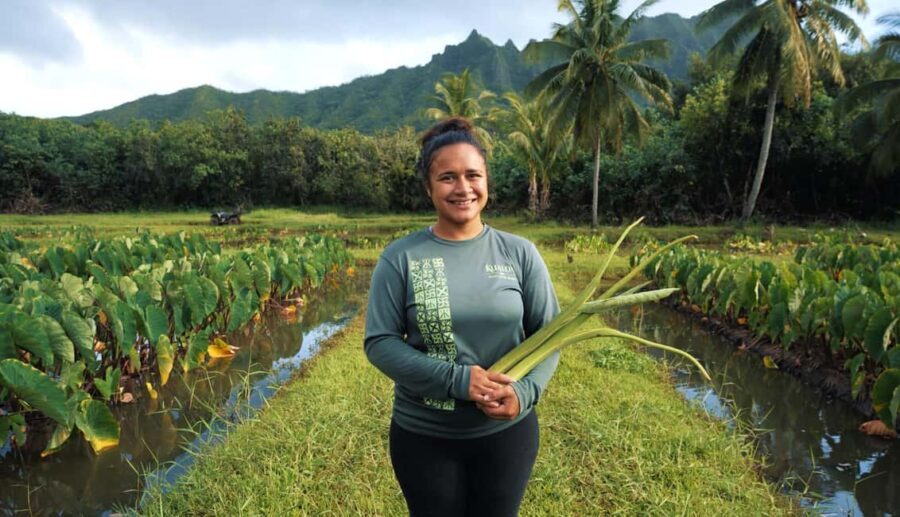 Hawaii: Oahu Explorer Pass - Tickets for 3 to 7 Attractions - Breakdown of Key Attractions and Activities