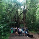 Hawaiian Waterfall Hike - Trail and Terrain