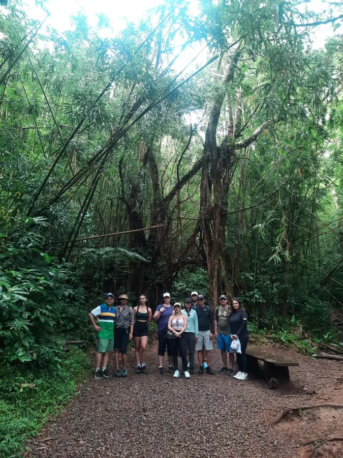 Hawaiian Waterfall Hike - Trail and Terrain