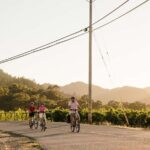 Healdsburg: Guided Electric Bike Wine Tour with Winery Stops - Practical Details and Considerations