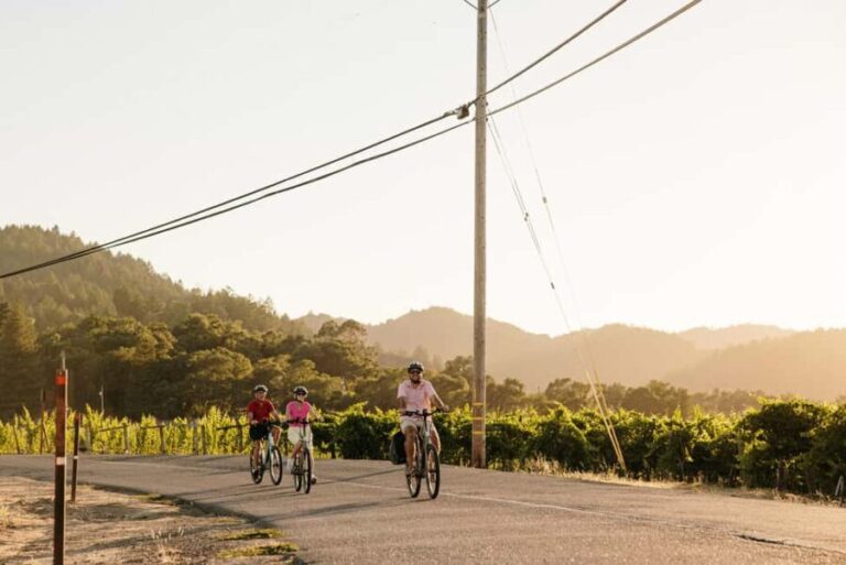 Healdsburg: Guided Electric Bike Wine Tour with Winery Stops - Practical Details and Considerations