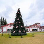 Heart of Fairbanks Tour Culture, Food, History and Fun - Who Should Consider This Tour?