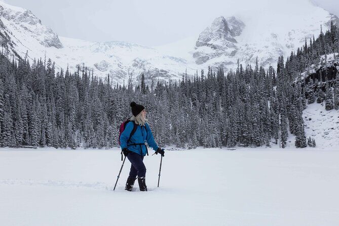 Hidden Frozen Gems of Yoho & Kootenay - Small Group Adventure - An In-Depth Look at the Experience