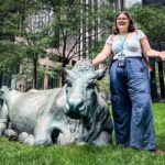 Hidden Toronto City Walking Tour - Why This Tour Works for You