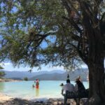 Hierve el Agua, Mitla, El Tule Tree, Rugs, Mezcal Distillery Tour - Why This Tour Is a Great Value