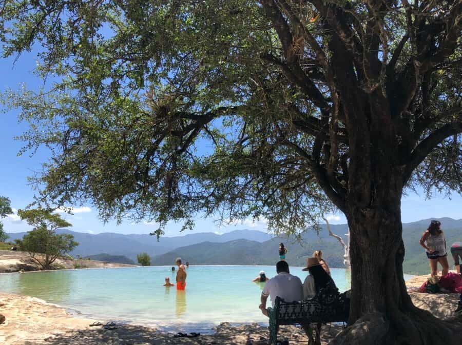 Hierve el Agua, Mitla, El Tule Tree, Rugs, Mezcal Distillery Tour - Why This Tour Is a Great Value