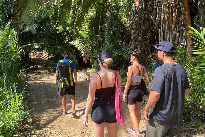 Hike and Yoga Jungle Experience in Mexico - The Sum Up: Is This Tour Right for You?