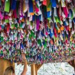 Hike explore and more in The Great Smoky Mountains - The Sum Up