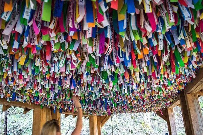 Hike explore and more in The Great Smoky Mountains - The Sum Up