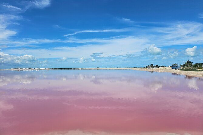 Hike in Las Coloradas and Boat Tour of Río Lagartos - Practical Details and Tips