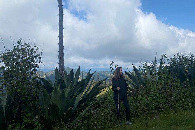 Hike in the Sierra Norte, Cuajimoloyas - An In-Depth Look at the Cuajimoloyas Hiking Experience