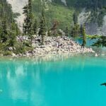 Hike Joffre Lake, Whistler & Shannon Falls Tour - Authentic Traveler Insights and Expectations