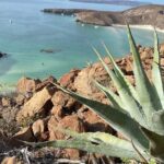Hike La Paz Balandra Overlook "The most beautiful beach in MX!" - Authentic Experiences and Final Thoughts