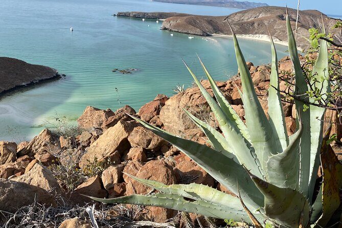 Hike La Paz Balandra Overlook "The most beautiful beach in MX!" - Authentic Experiences and Final Thoughts