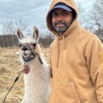 Hike & Lunch with Llamas - The Picnic and Farm-to-Table Pizza