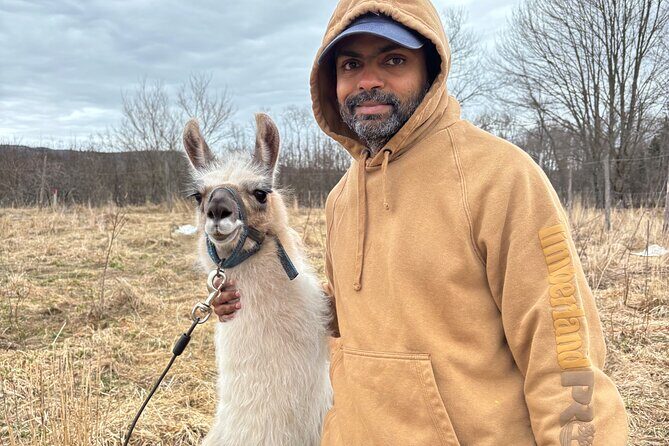 Hike & Lunch with Llamas - The Picnic and Farm-to-Table Pizza
