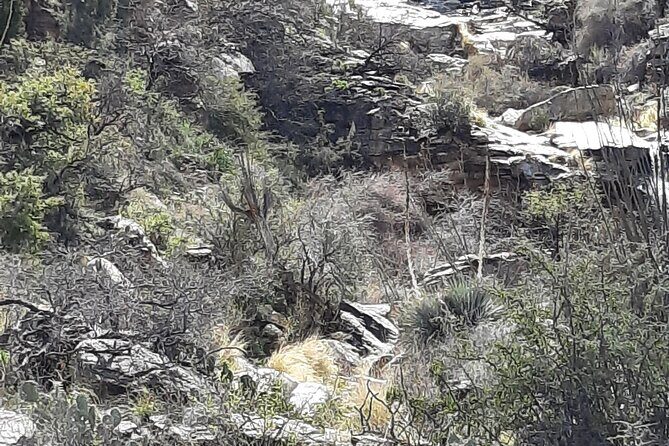 Hiking at Starr Pass and Tucson Mountains - The Sum Up: Why It’s a Solid Choice