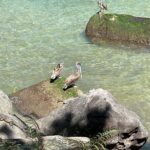 Hiking from Boca de Tomatlan to Playa Las Ánimas - Authenticity and Experience Quality