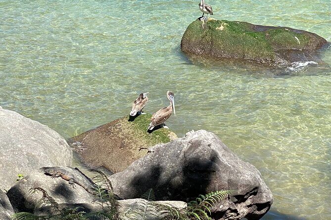 Hiking from Boca de Tomatlan to Playa Las Ánimas - Authenticity and Experience Quality