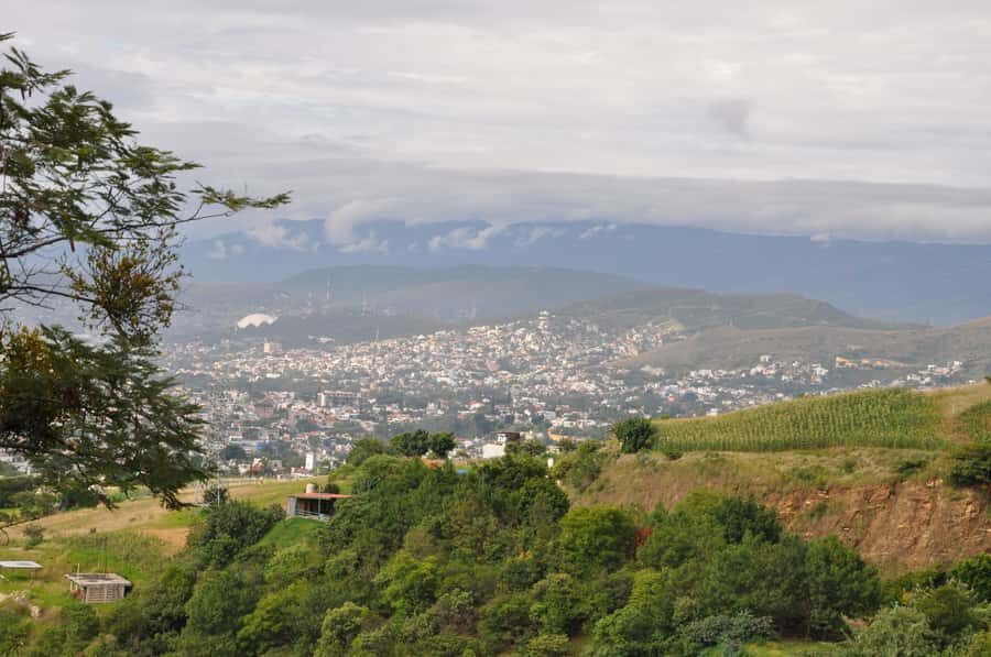 Hiking in Benito Juárez National Park - Who Should Consider This Tour?