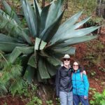 Hiking in Sierra Norte the most spectacular trails in Oaxaca - A Well-Organized Introduction to Oaxaca’s Forests