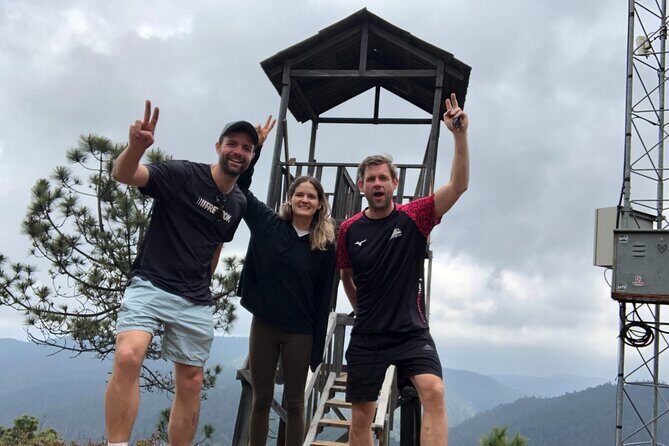 Hiking in the Enchanted Forest of Ixtepeji with Rescue Dogs - The Practicalities: What You Need to Know